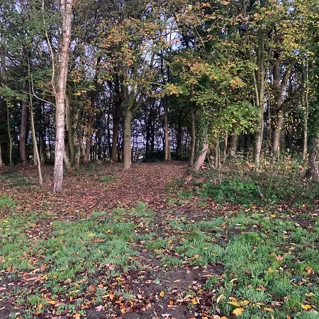 Le Du Bois Greffier * Fletre