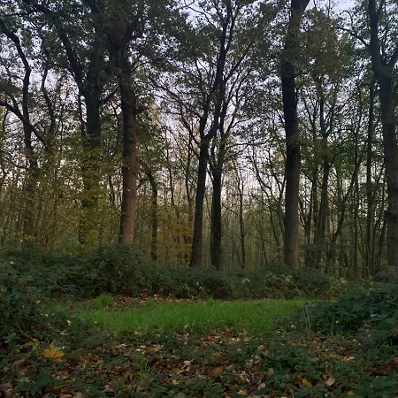 Holiday home Le Du Bois Greffier