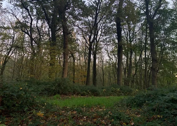 Holiday home Le Du Bois Greffier